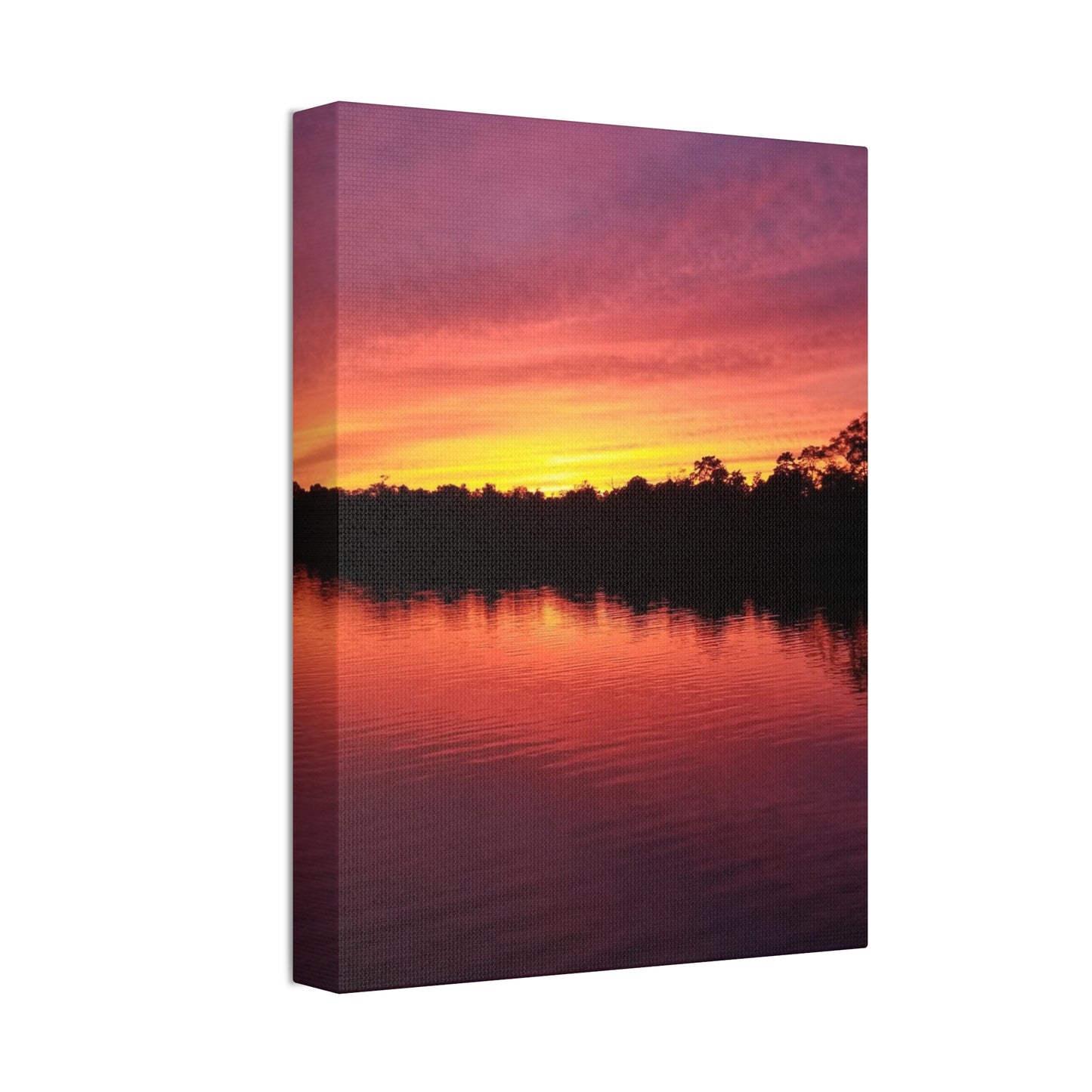 Opacarophile, Canvas Stretched, 1.5''