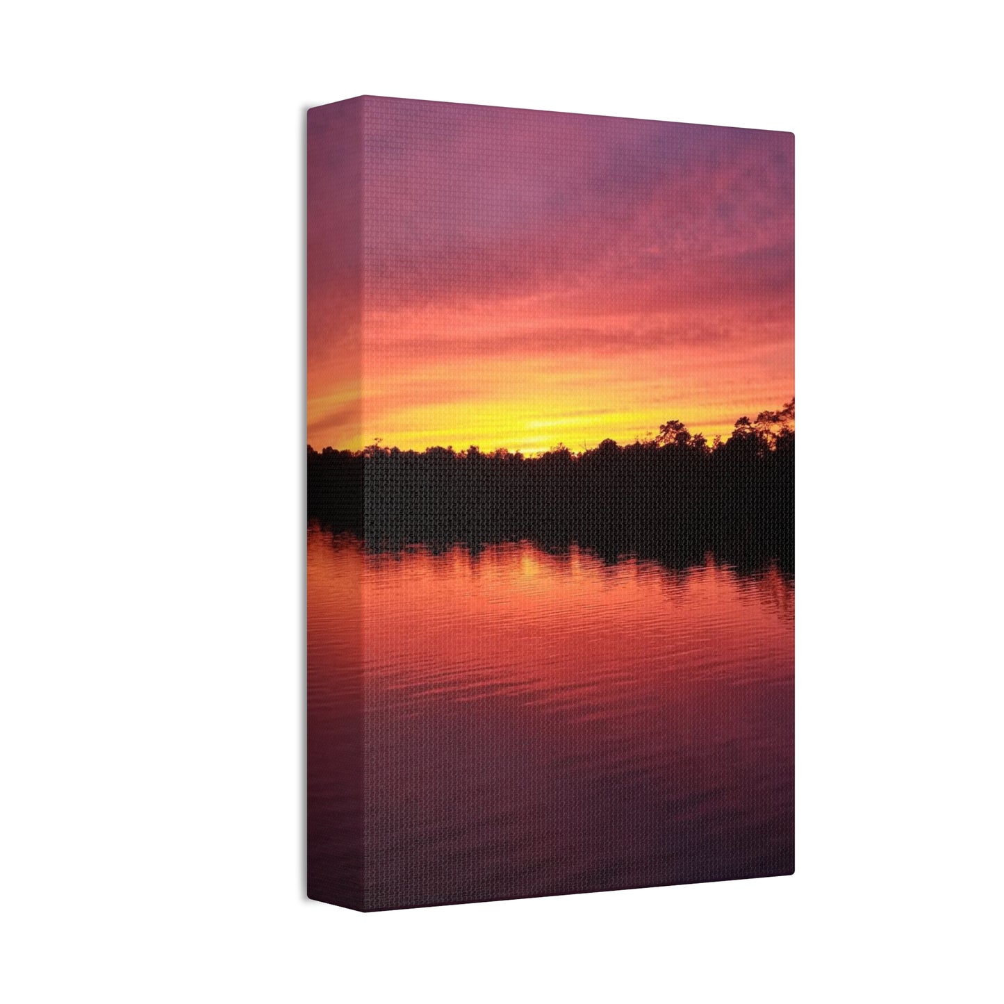 Opacarophile, Canvas Stretched, 1.5''