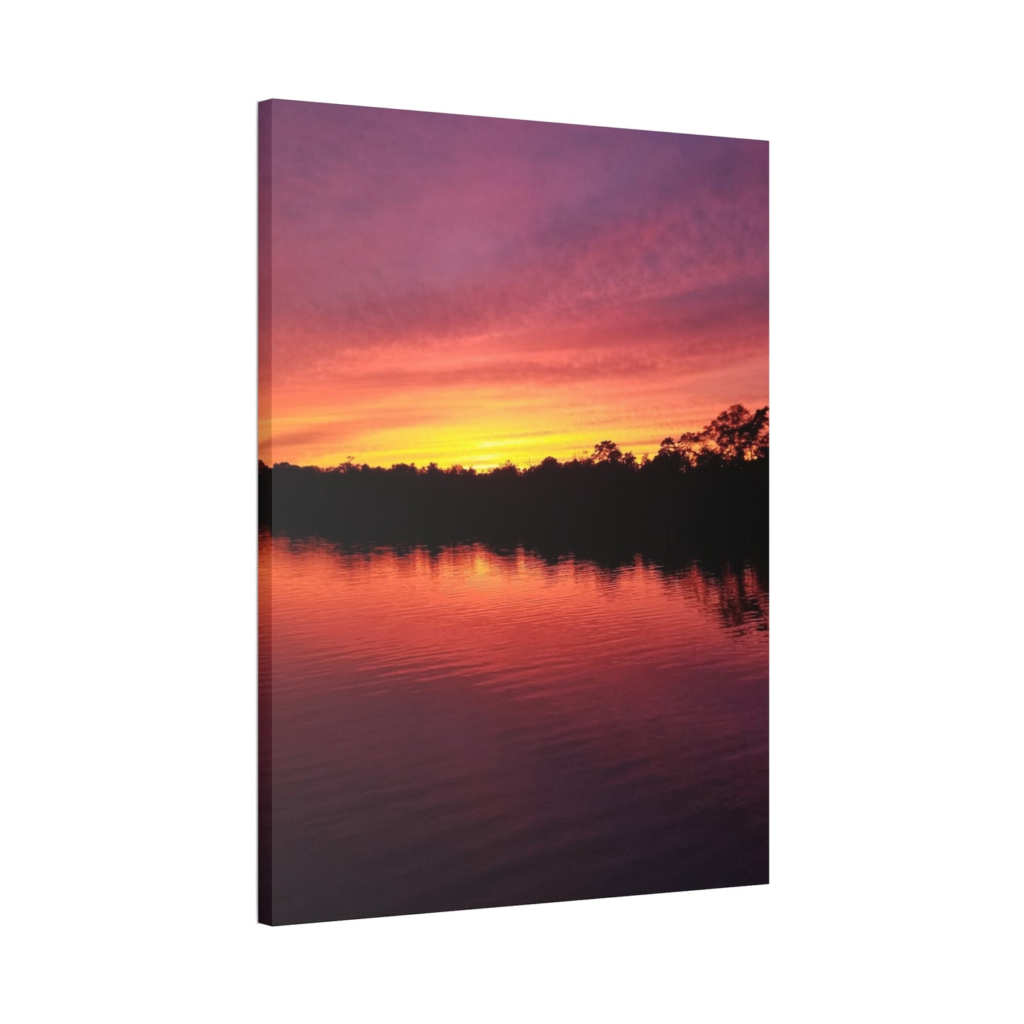 Opacarophile, Canvas Stretched, 1.5''