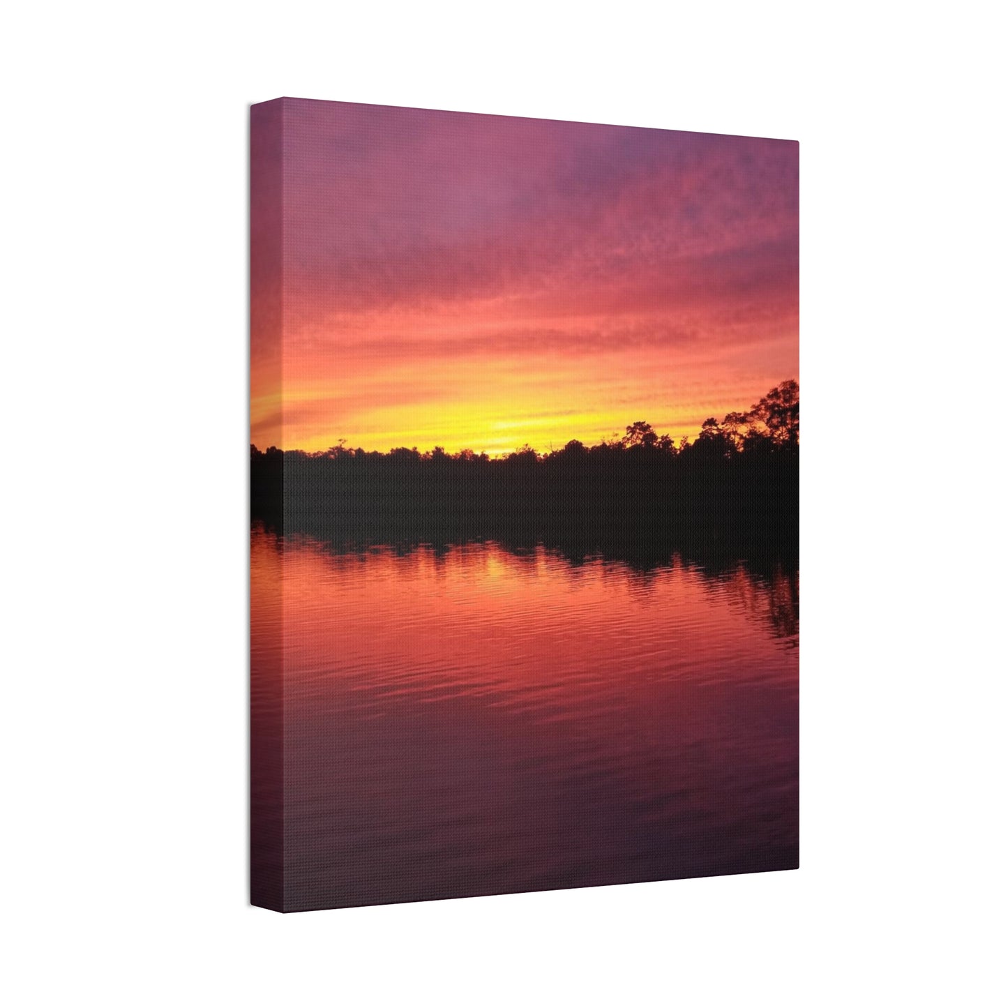 Opacarophile, Canvas Stretched, 1.5''