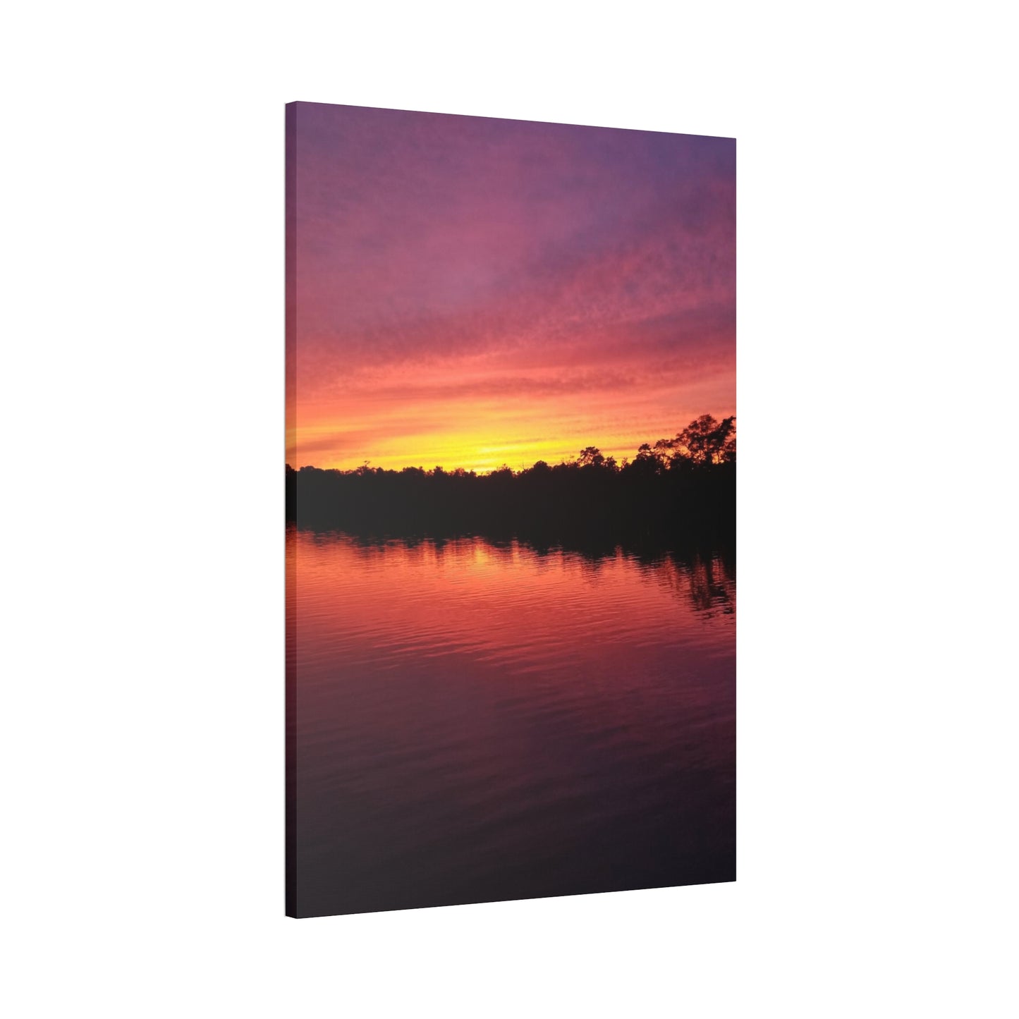 Opacarophile, Canvas Stretched, 1.5''