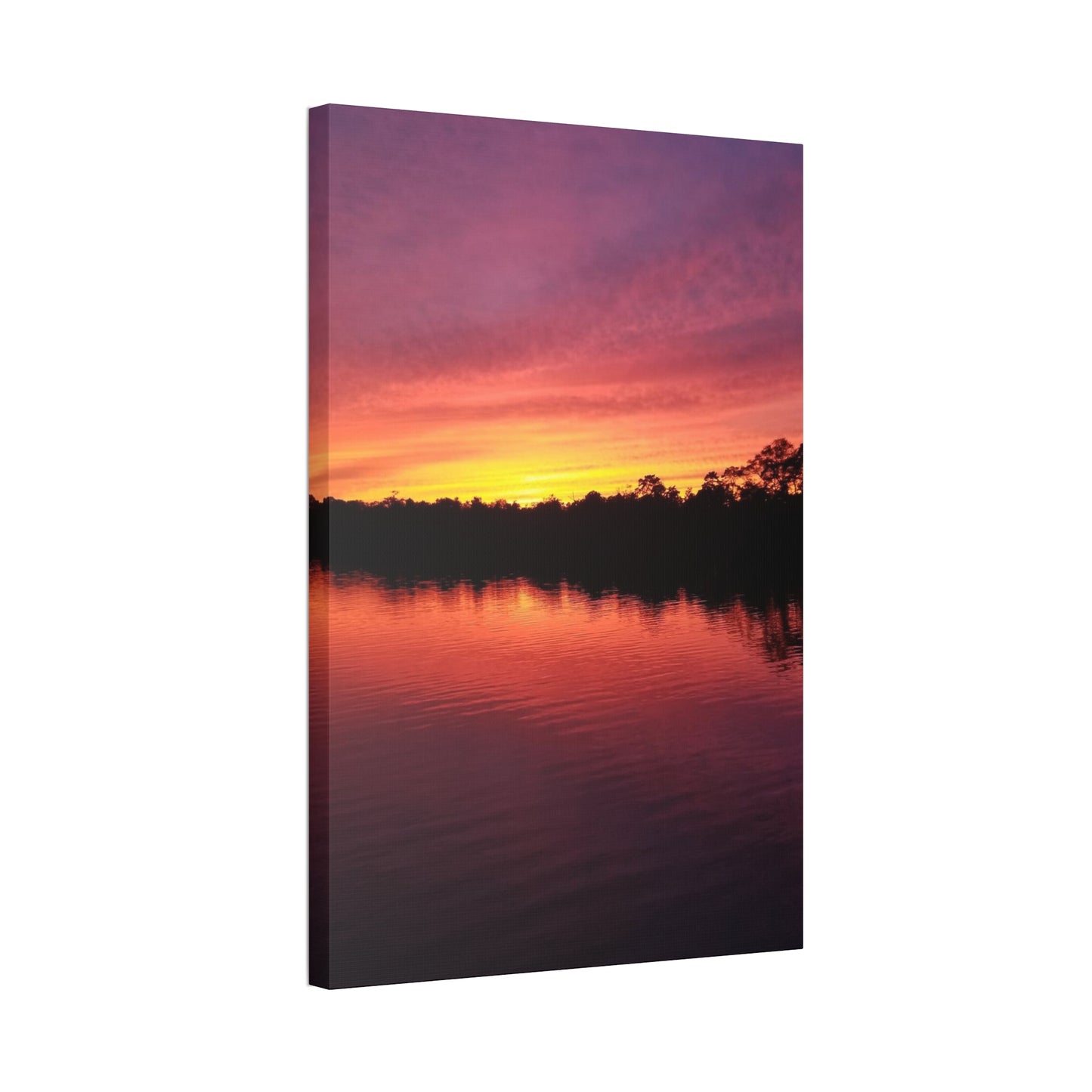 Opacarophile, Canvas Stretched, 1.5''