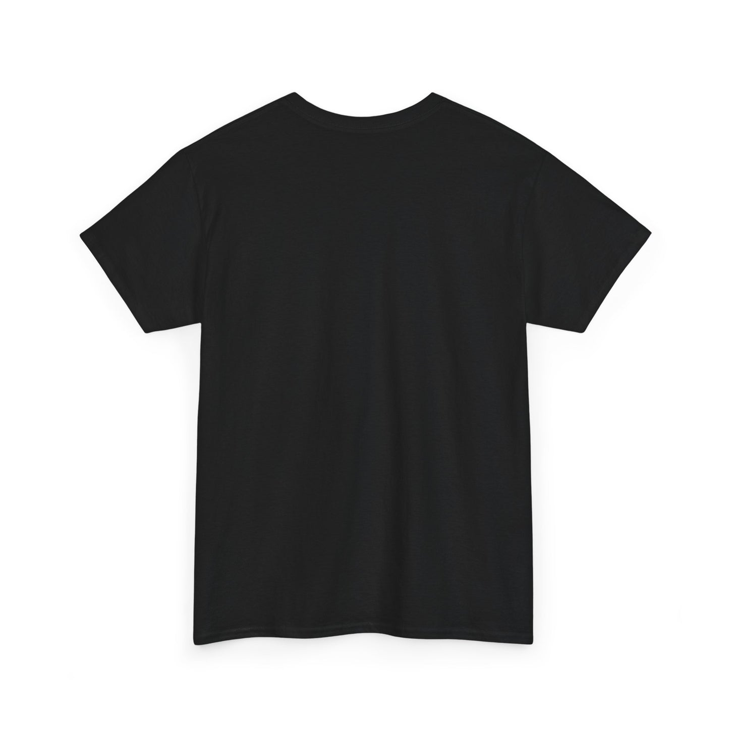 United We Stand T-Shirt, Patriotic Tee, America Pride Shirt, Political Activist Clothing, Unity