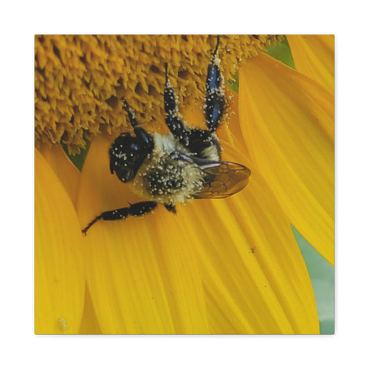 Happy Little Bee,  Matte Canvas, Stretched, 1.25"