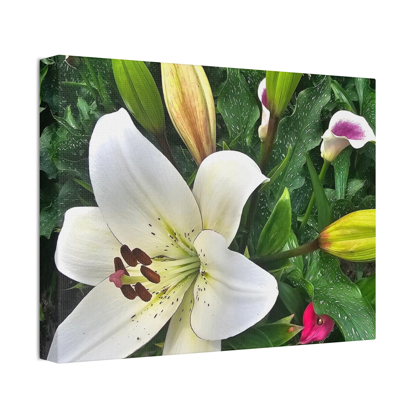 Lily Explosion, Canvas Stretched, 1.5''